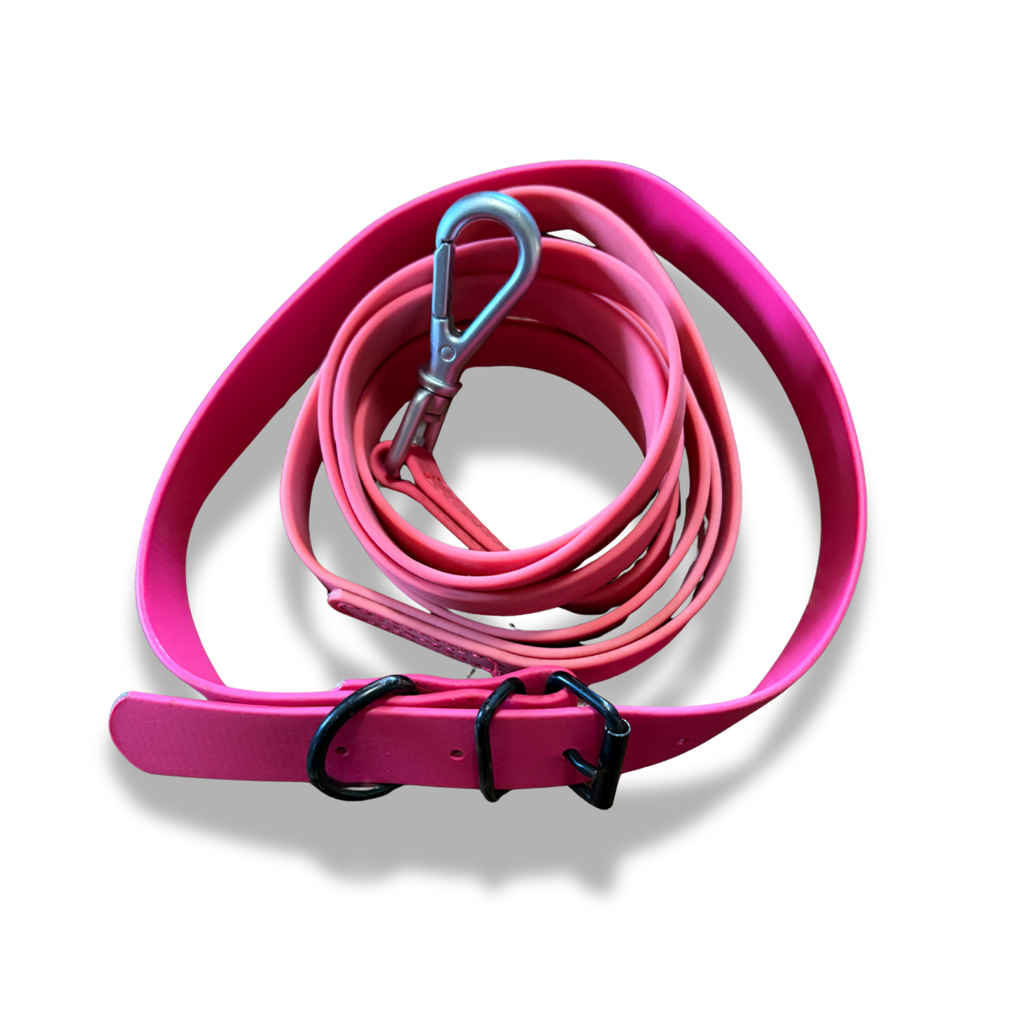 Biothane Pink Collar and Leash