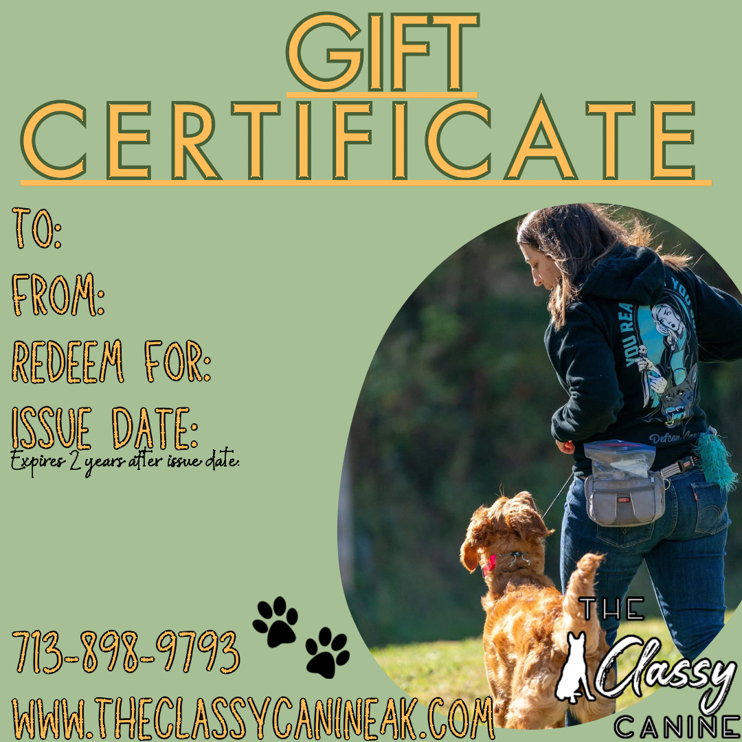 Gift Certificate