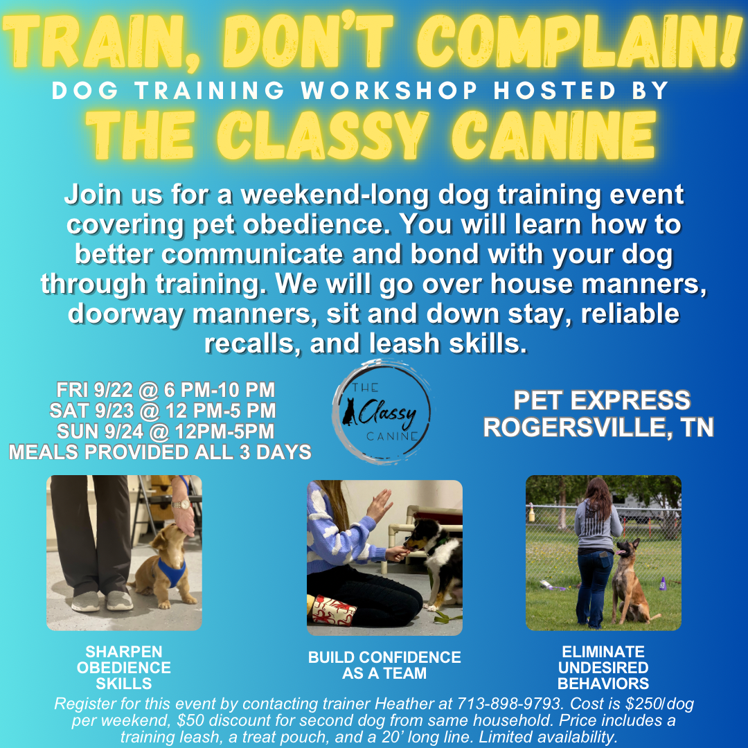TRAIN, DON’T COMPLAIN! Seminar
