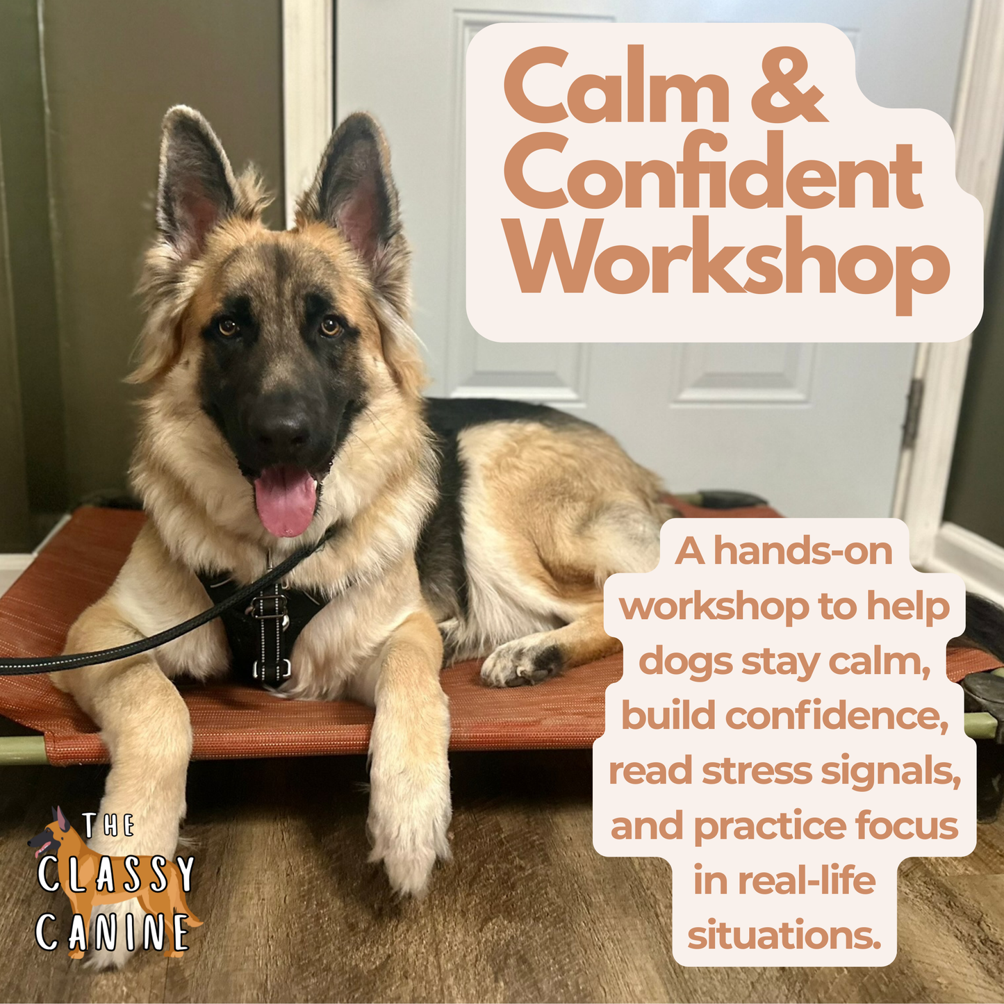 Calm & Confident Workshop
