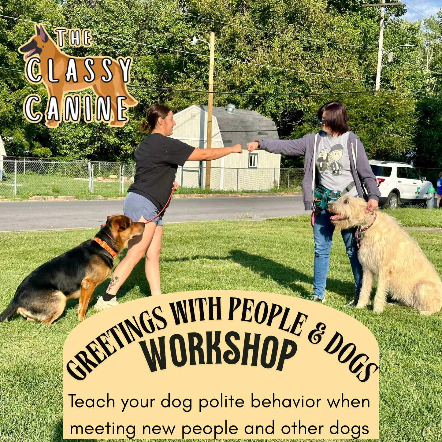 Greetings with People & Other Dogs Workshop in Johnson City, TN – dog training class for polite greetings, leash manners, and Canine Good Citizen (CGC) prep in Kingsport, Elizabethton, Bluff City, Blountville, Watauga, and Tri-Cities area.