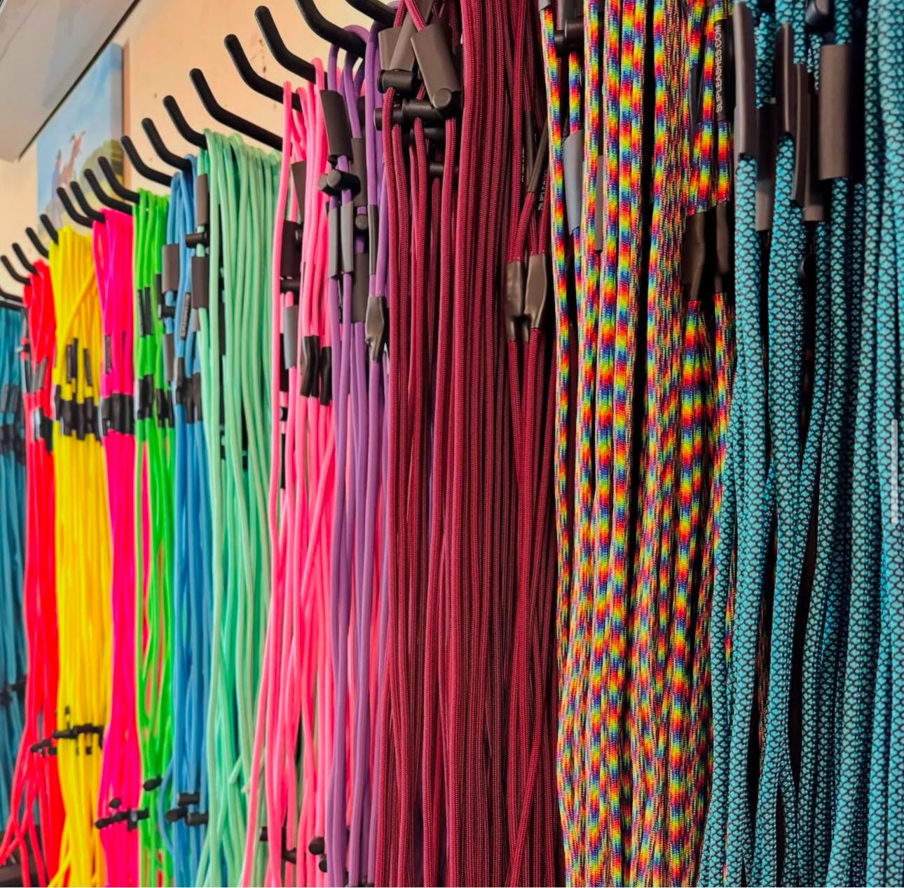 Paracord Clip or Slip Training Leash – Organized multi-bright colors that are durable, handmade dog leashes for obedience, control, and everyday training.