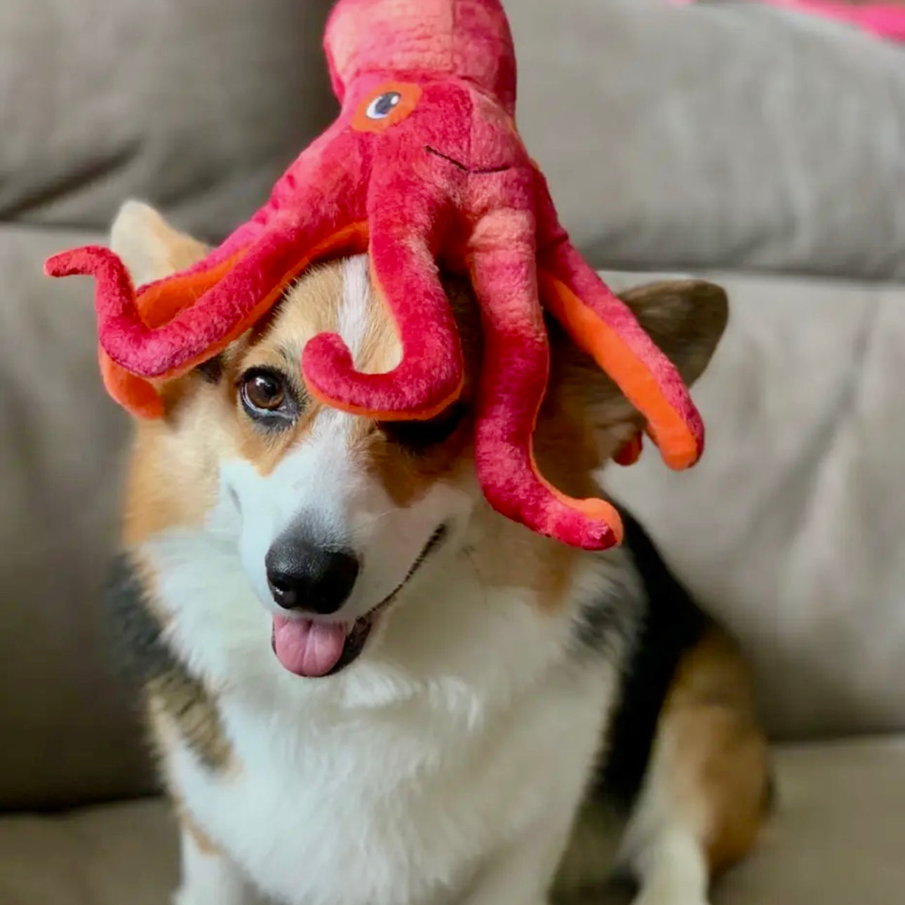 A RED Snugarooz Olivia the Octopus 11 inch plush dog toy with squeakers and crinkle for interactive play, soft and durable for cuddling or chewing.