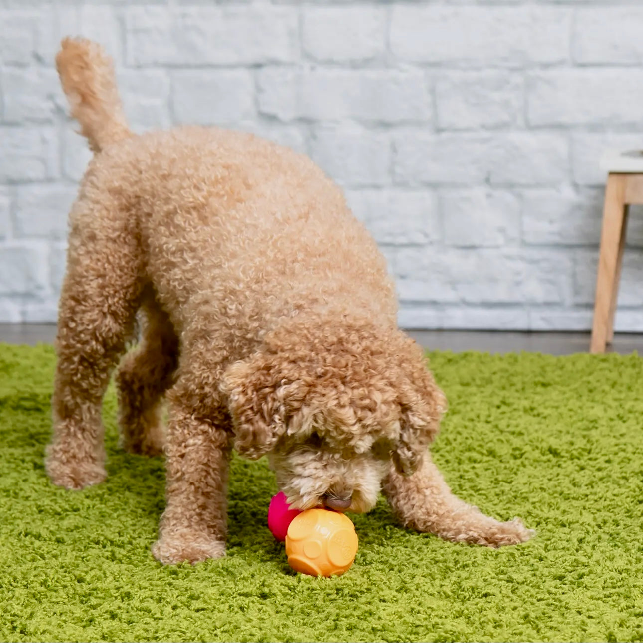 goDog Silent Squeaker Ball 2 Pack – durable chew-resistant dog toy balls with silent squeaker technology for quiet indoor play