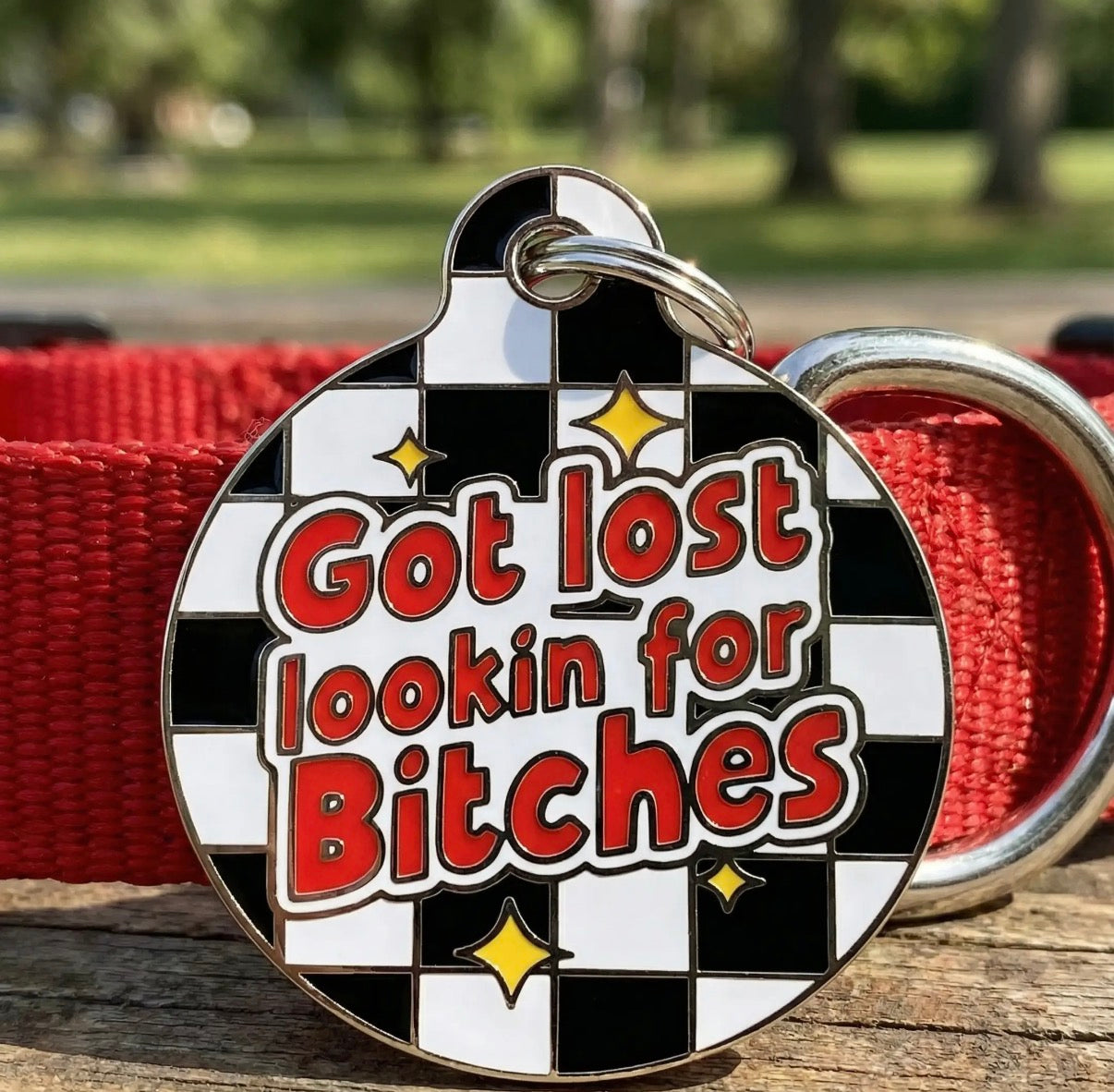 Funny Dog Charm & Pet ID Tag “Looking for Bitches”