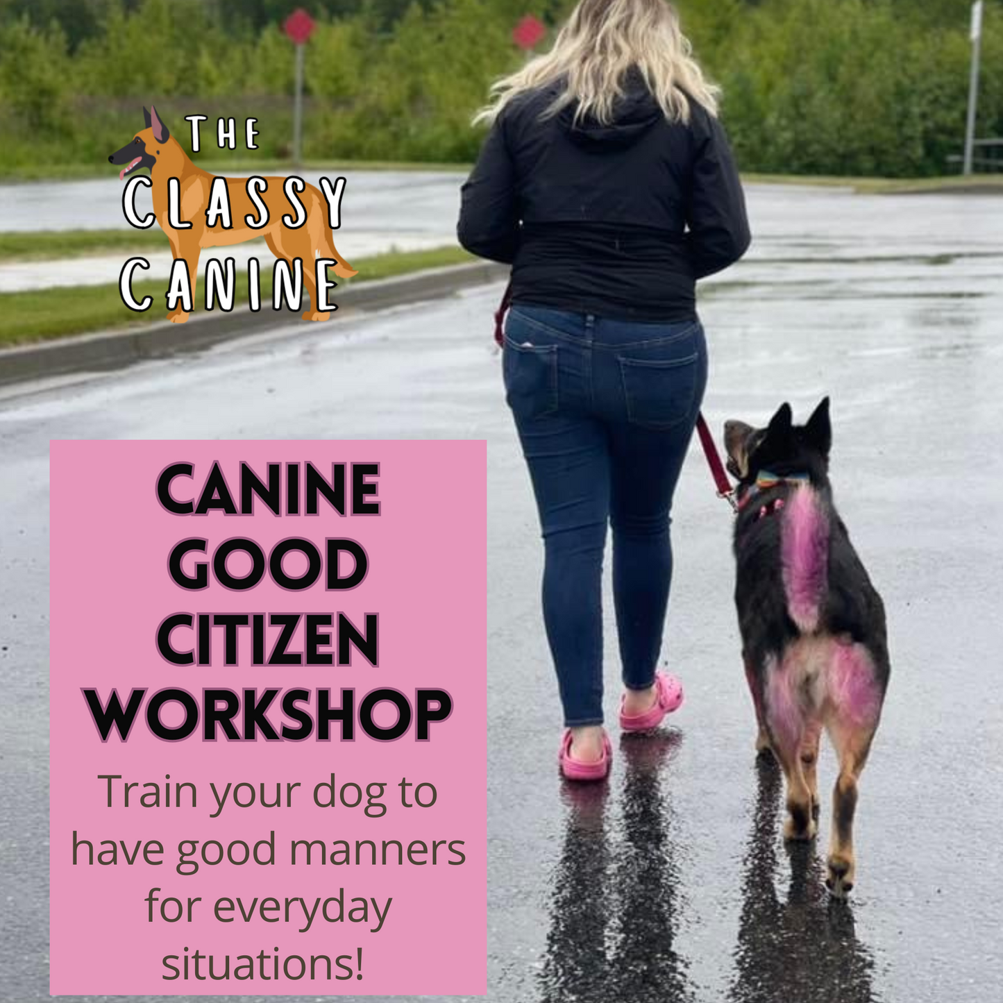 Canine Good Citizen dog training workshop in Johnson City, TN – AKC CGC prep class for dogs in Kingsport, Elizabethton, Blountville, Bluff City, Watauga, and Tri-Cities area focused on group dog training classes and public dog obedience training .