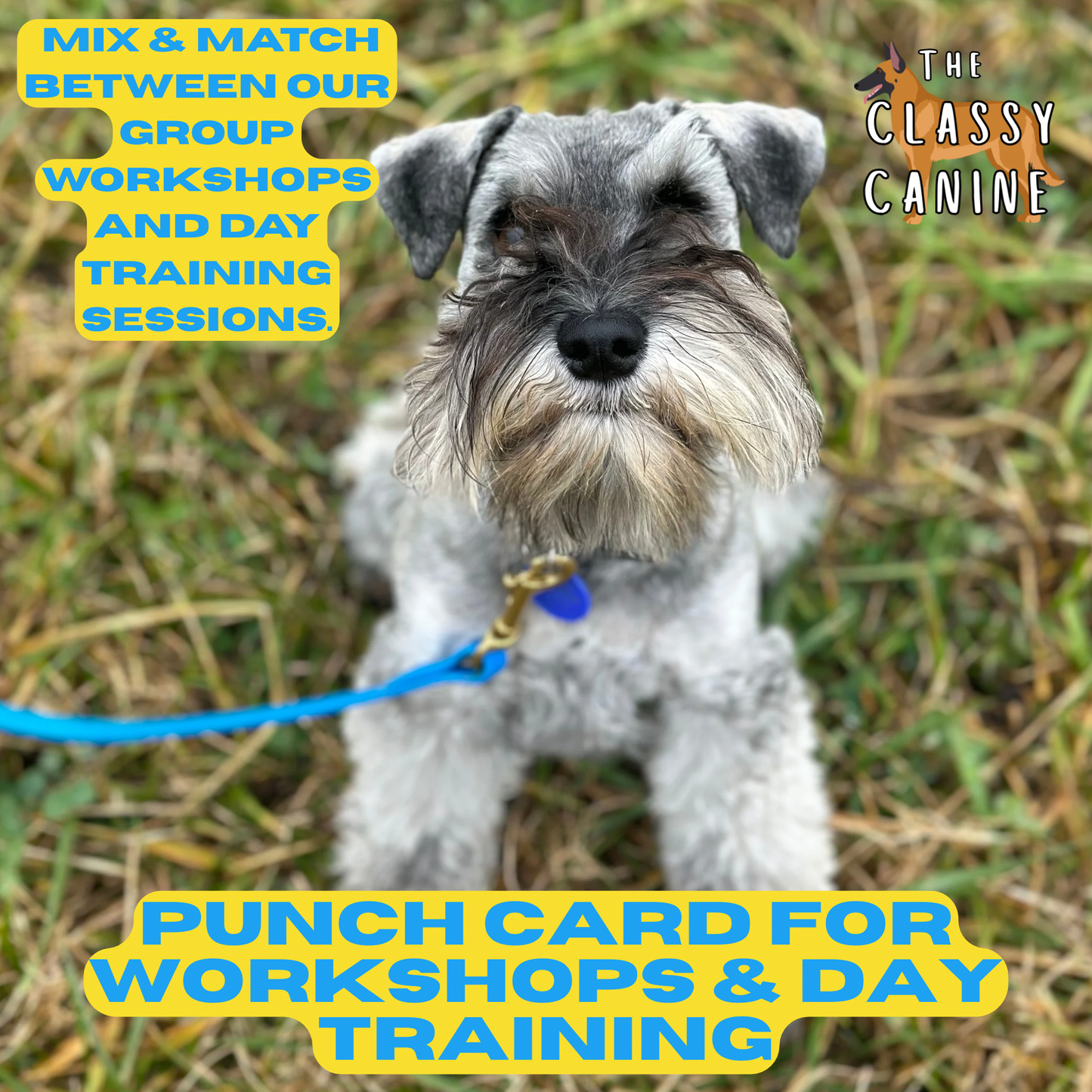 Punch Card for Workshops and Day Training