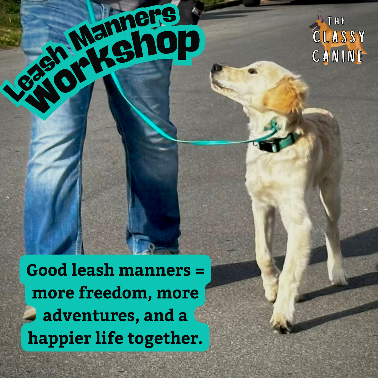 Leash Manners Workshop