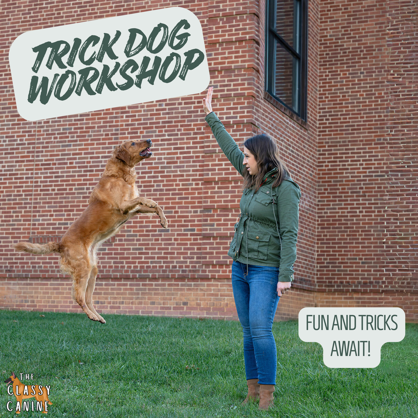 Trick Dog Workshop