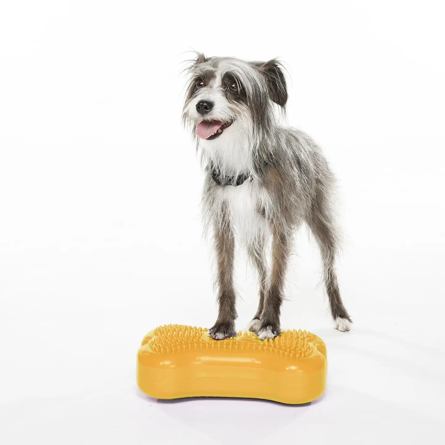 K9FITbone Mini Set of 2