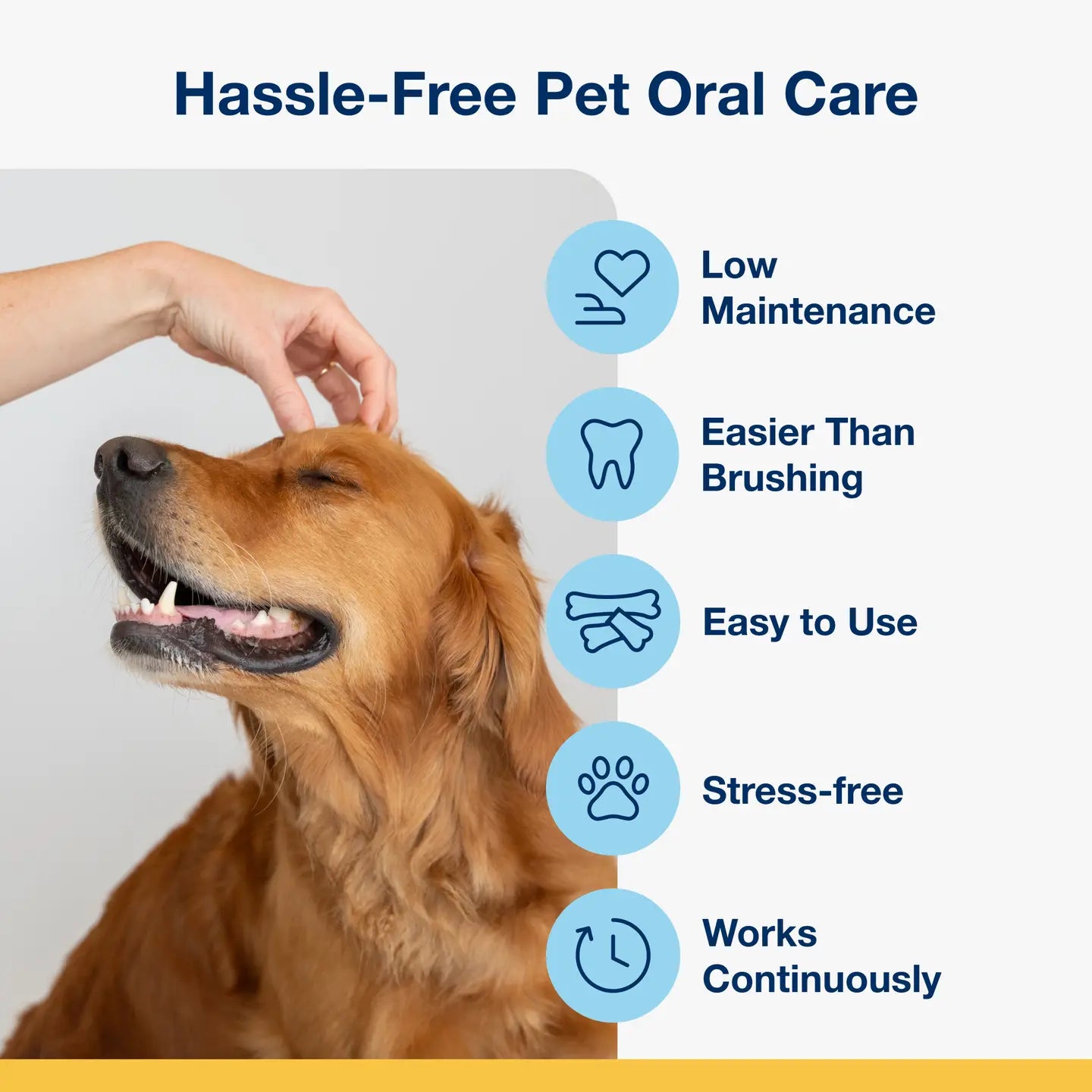 ProDen PlaqueOff System® Mini Dental Care Bones