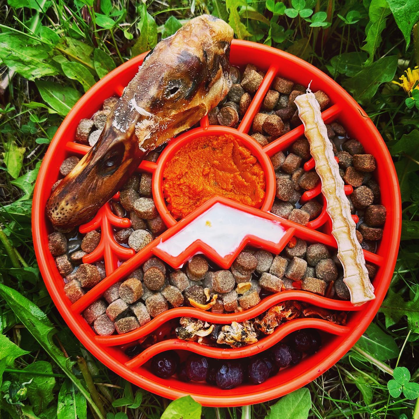 SodaPup Great Outdoors Slow Feed Bowl