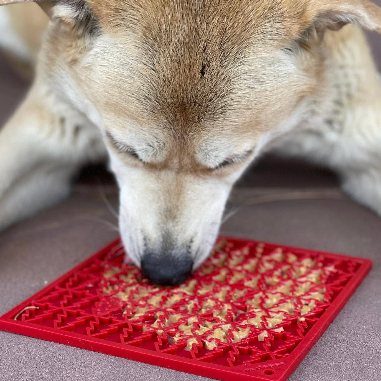 Limited Edition Red Tree Lick Mat – The Classy Canine