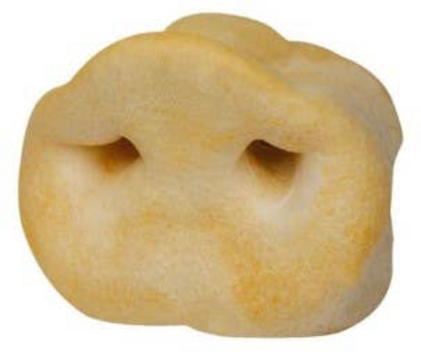 Pig Snout Chew