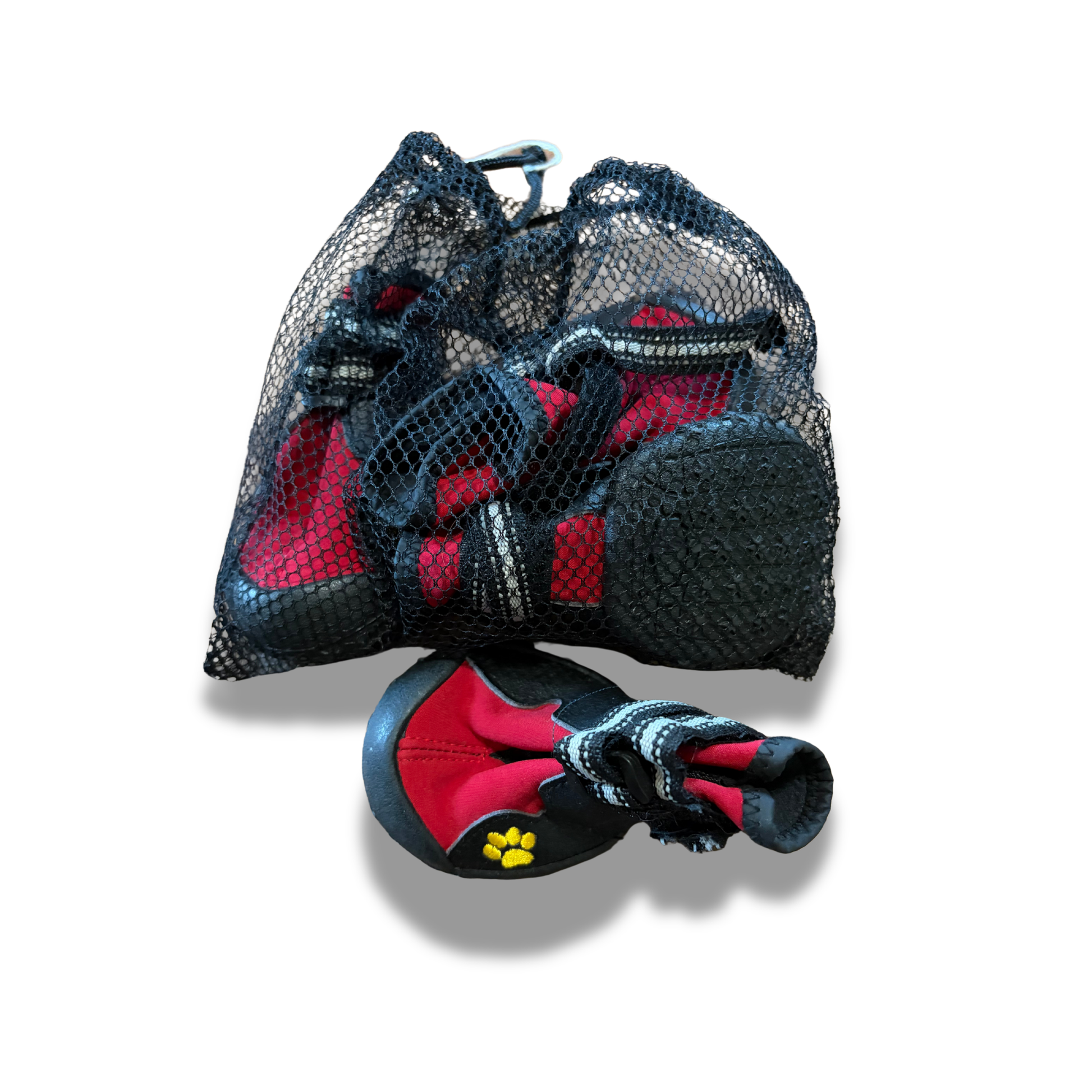 Small dog wearing water-resistant booties with skid-proof soles for protection on snow, rain, hot pavement, and slippery floors.