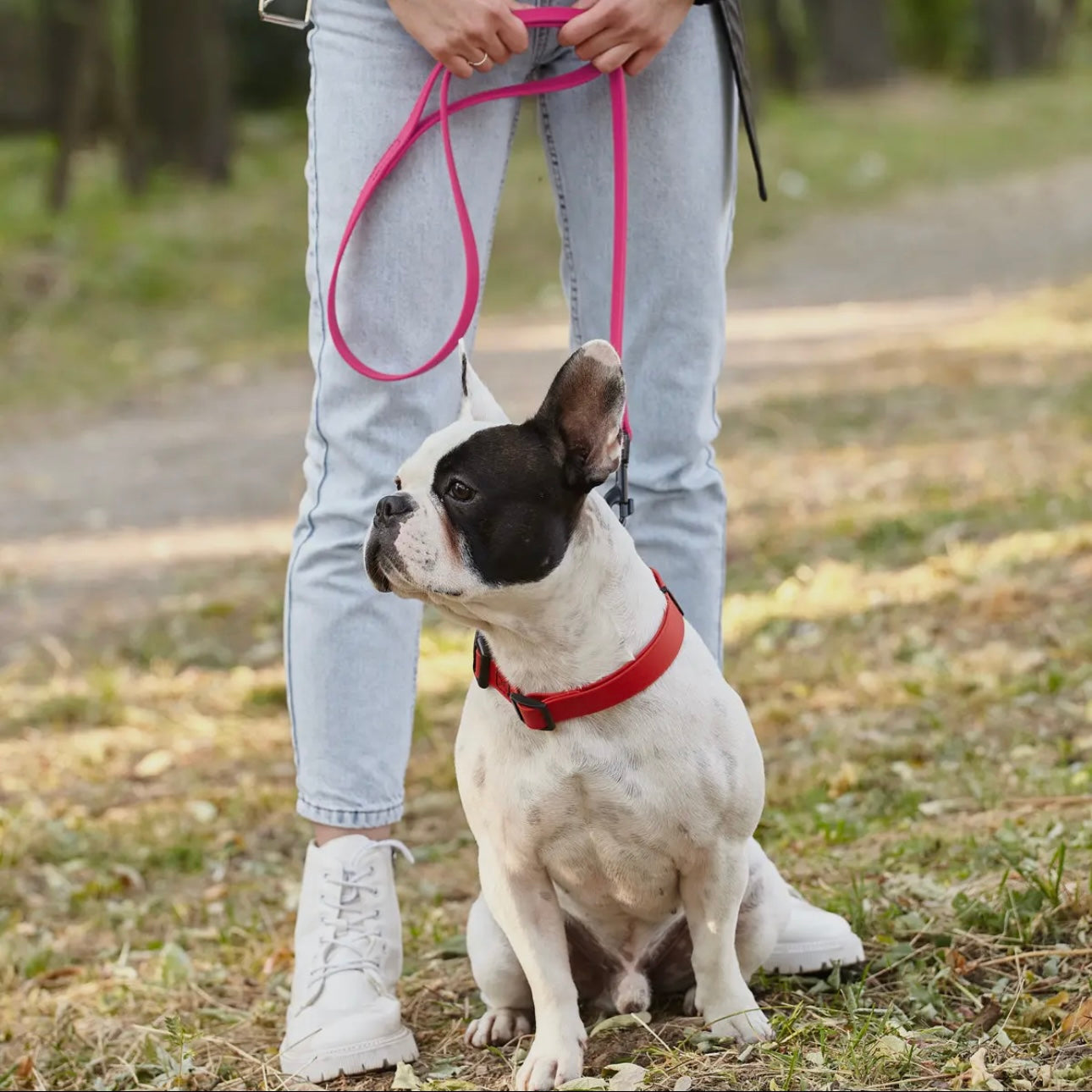 Biothane Clip Leash