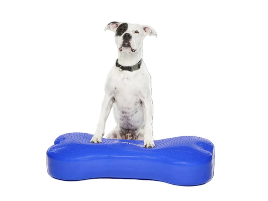 Giant K9FITbone Dog Balance Training Platform