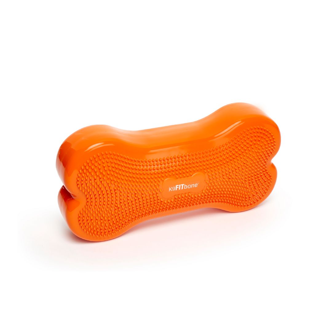K9FITbone Balance Training Platform