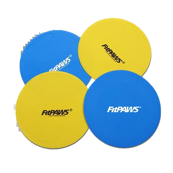 Assorted color dog training targets for fitness and rehabilitation