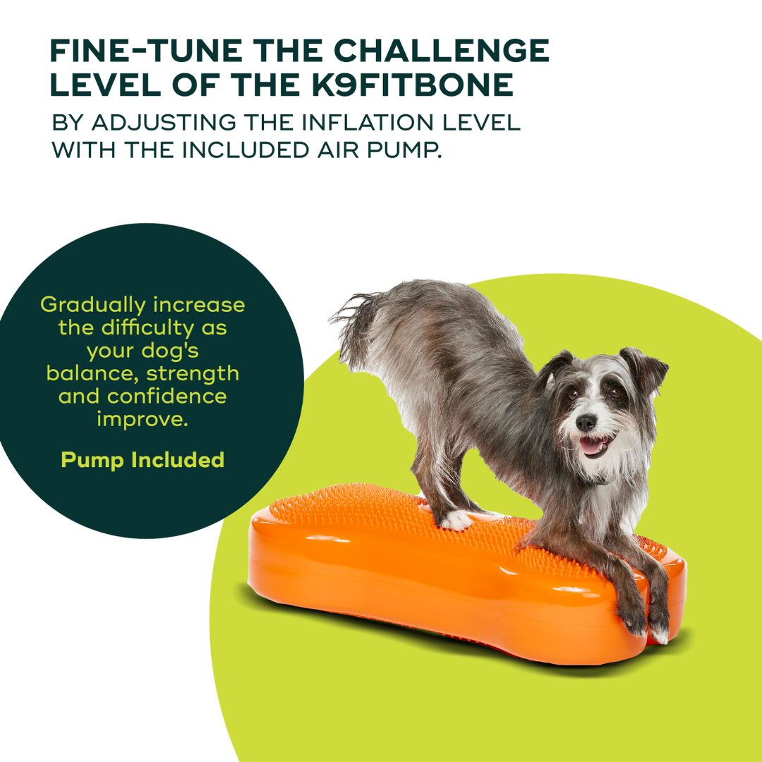 K9FITbone Balance Training Platform