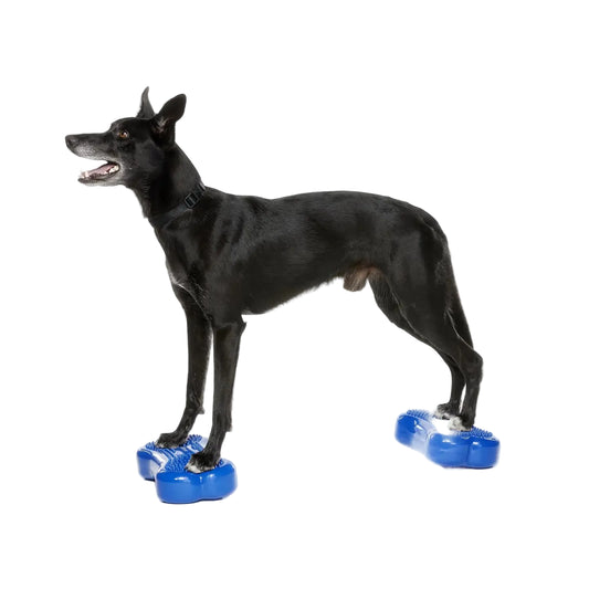 Dog rehabilitation and conditioning balance tool set of 2