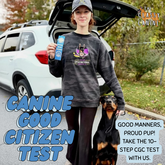 Canine Good Citizen Test