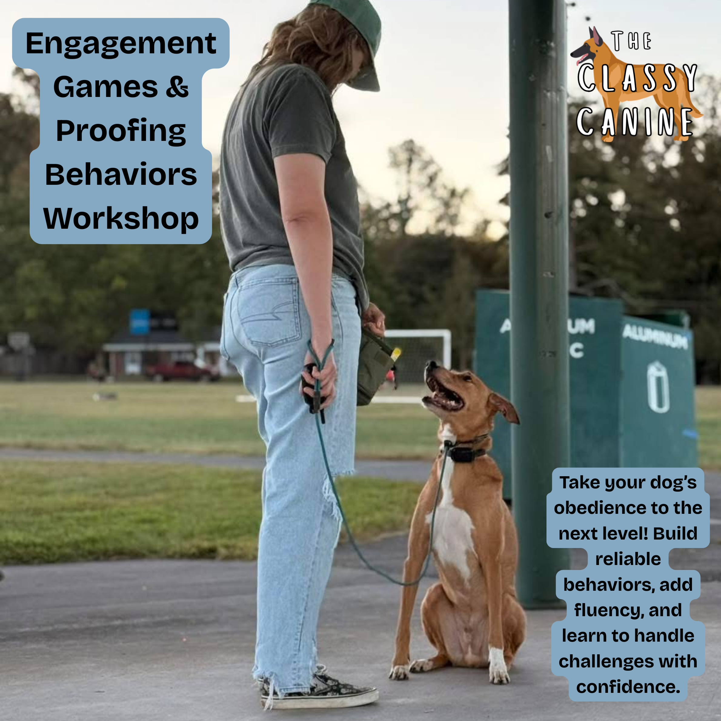 Engagement Games & Proofing Behaviors Workshop – The Classy Canine