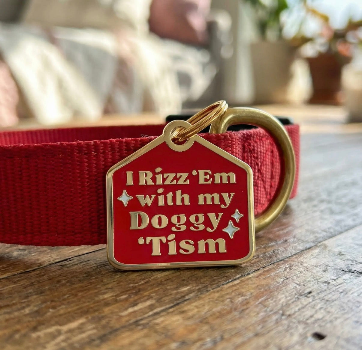 Funny Dog Charm & Pet ID Tag “Rizz’em with My Doggy ‘Tism”