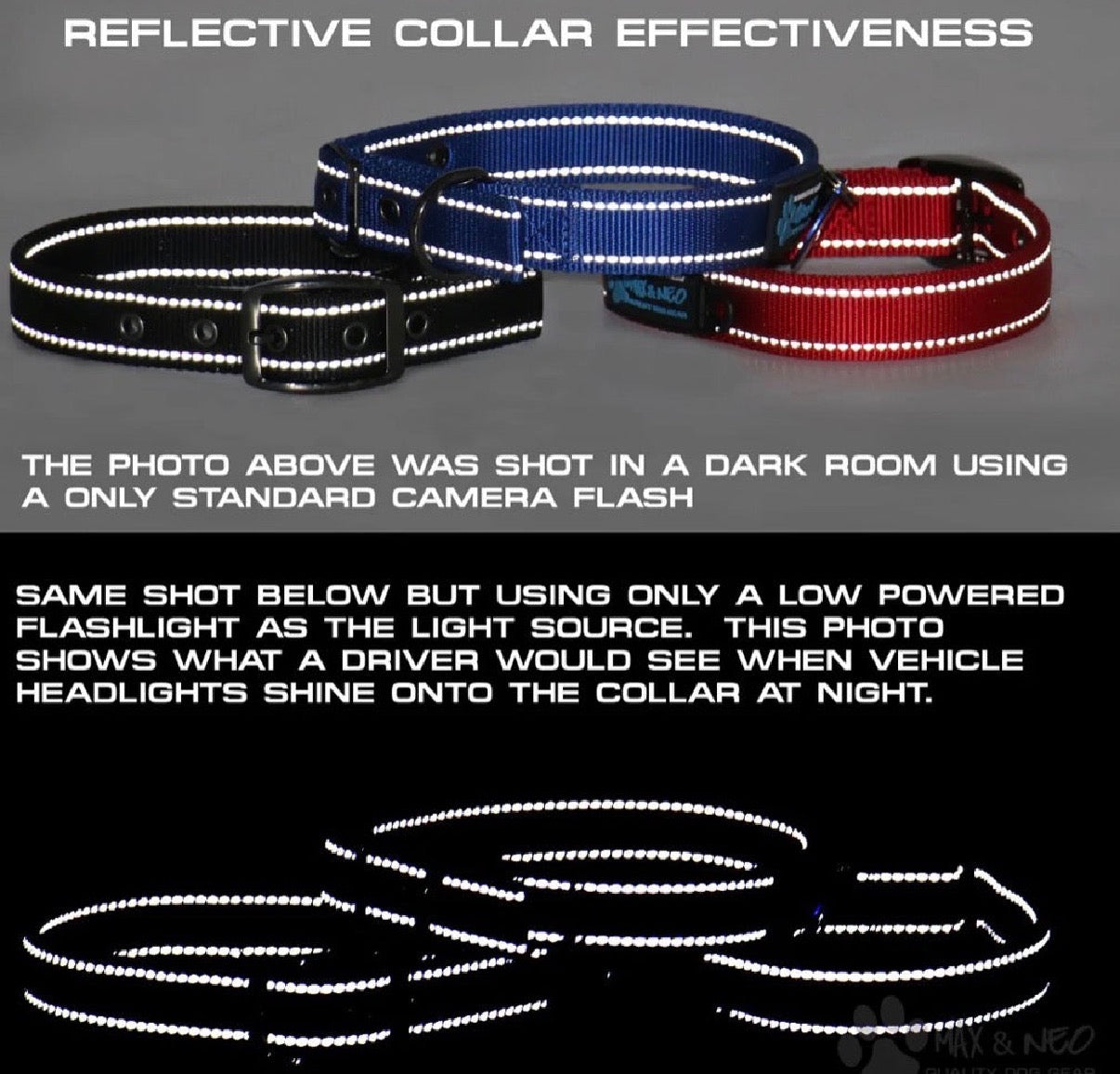 Martingale Nylon Dog Collar