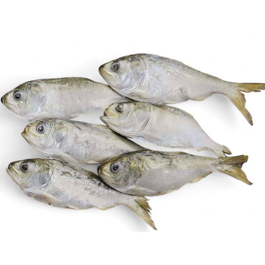 Freeze Dried Menhaden Fish