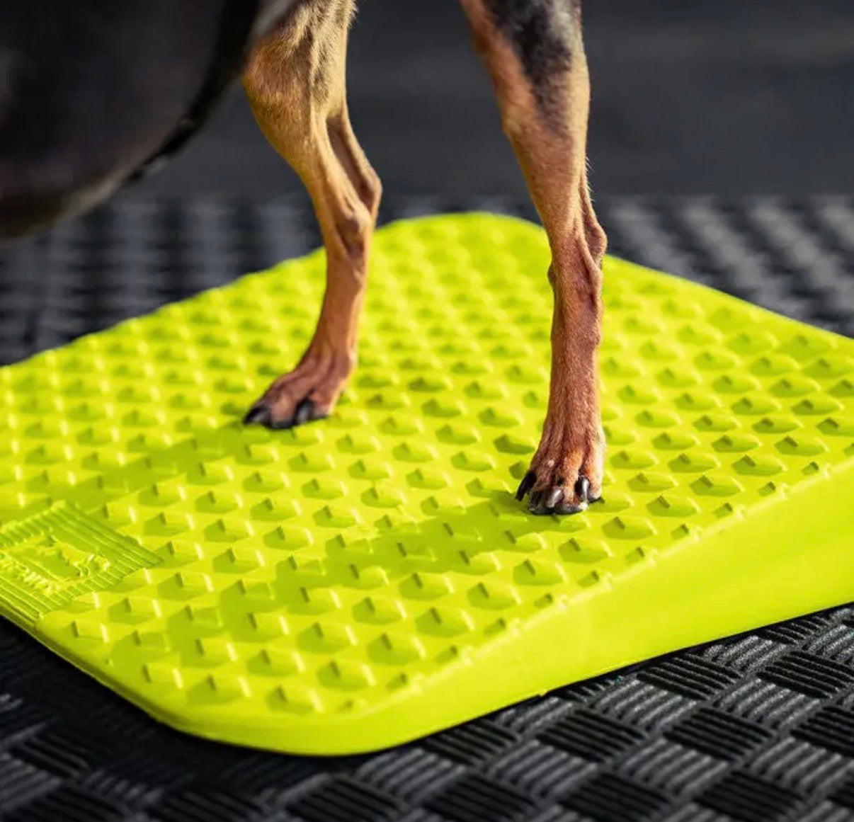 FitPAWS® Balance Ramp