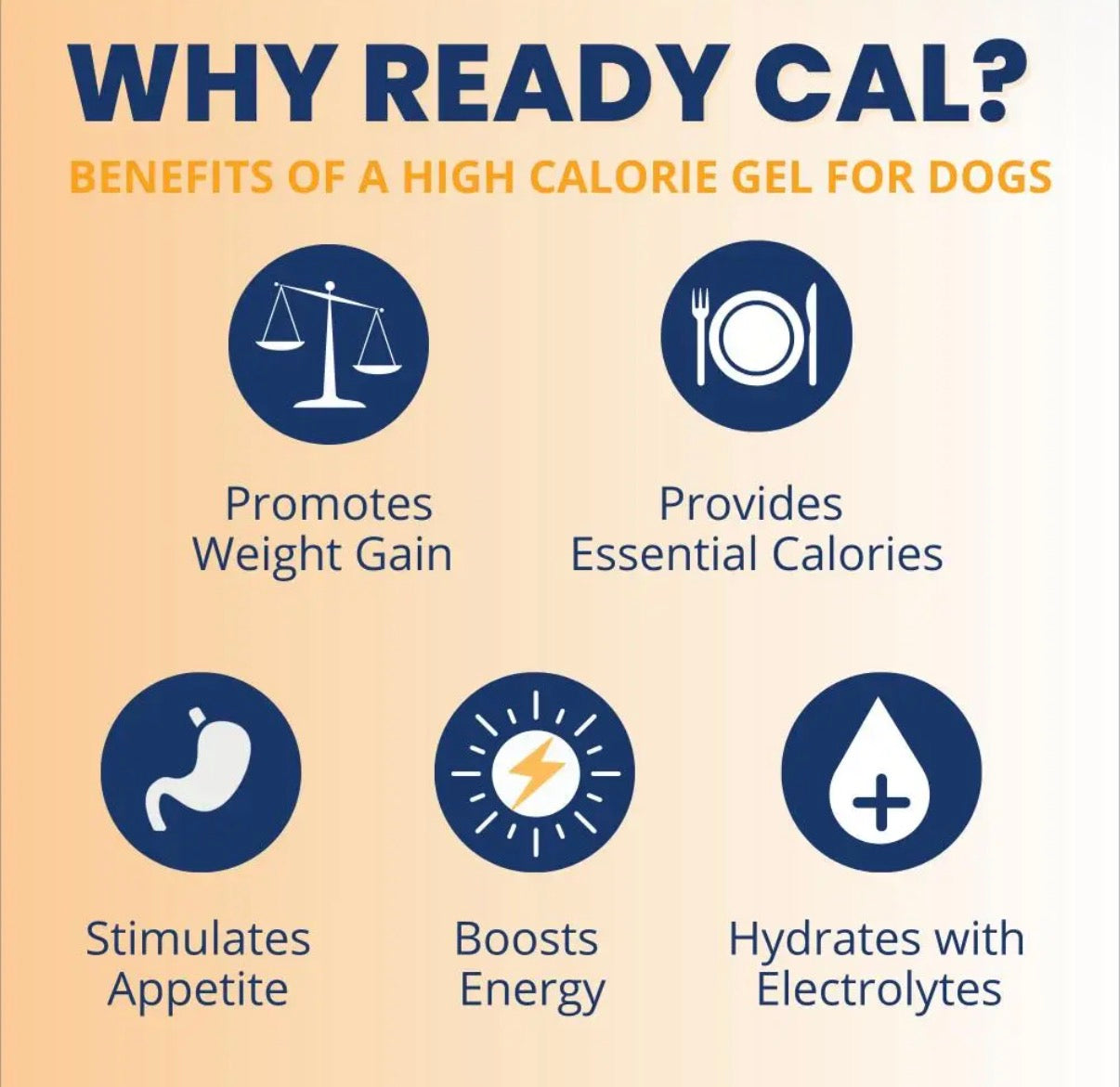 Under the Weather Ready Cal Plus W/ Electrolytes Squeezable