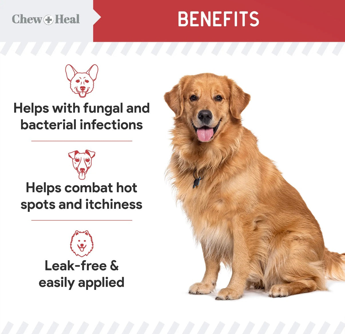 Antibacterial & Antifungal Medicated Wet Wipes for Dogs