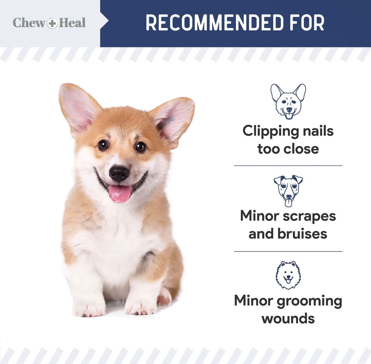 Chew + Health Styptic Powder for Dogs, Cats & Birds