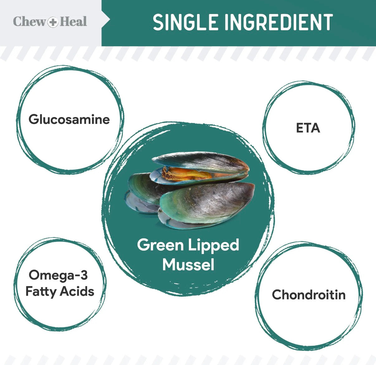 Chew + Heal Green Lipped Mussel Powder for Hip & Joint (6oz)
