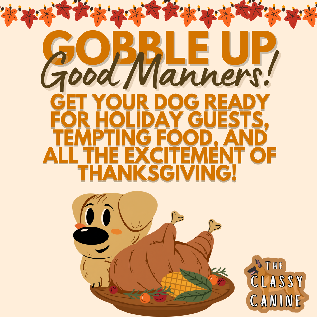 Gobble Up Good Manners Dog Training Course