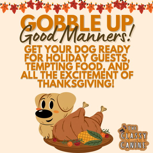 Gobble Up Good Manners Dog Training Course