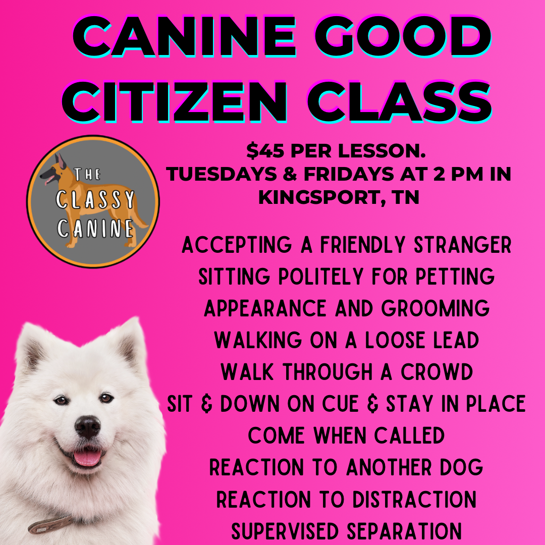 Canine Good Citizen Lesson