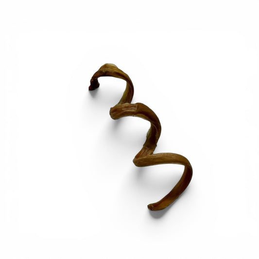 Pork Pizzle Spring 6”