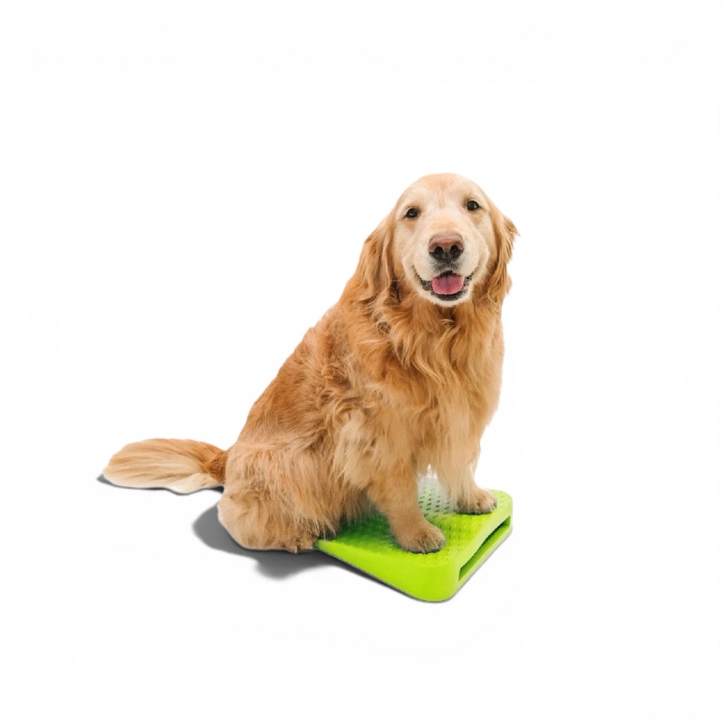 FitPAWS® Balance Ramp