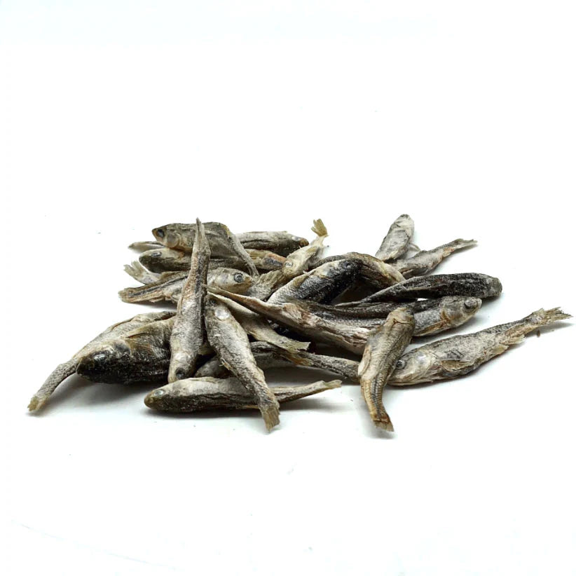 Freeze Dried Minnows 5 oz