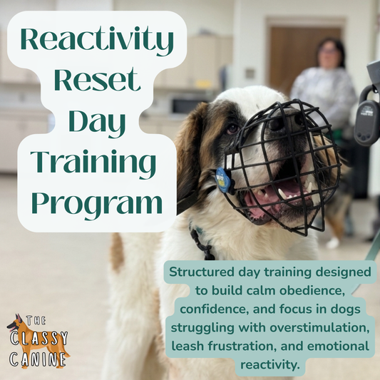 Reactivity Reset Day Training Program