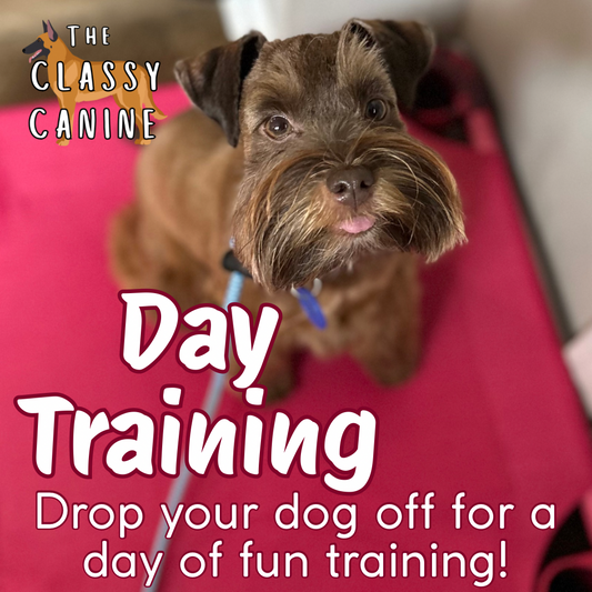 Single Day of Day Training