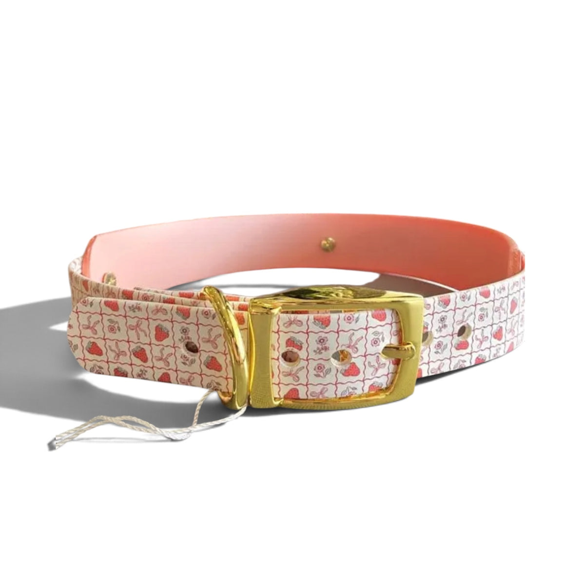 Strawberry Bows Biothane Dog Collar, Waterproof Adjustable Pet Accessory