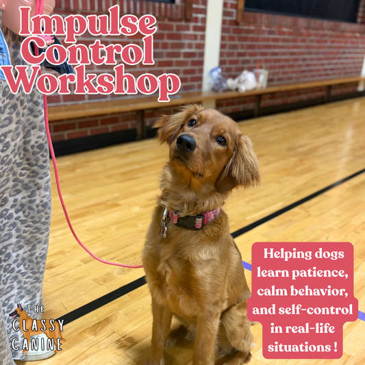 Impulse Control Workshop