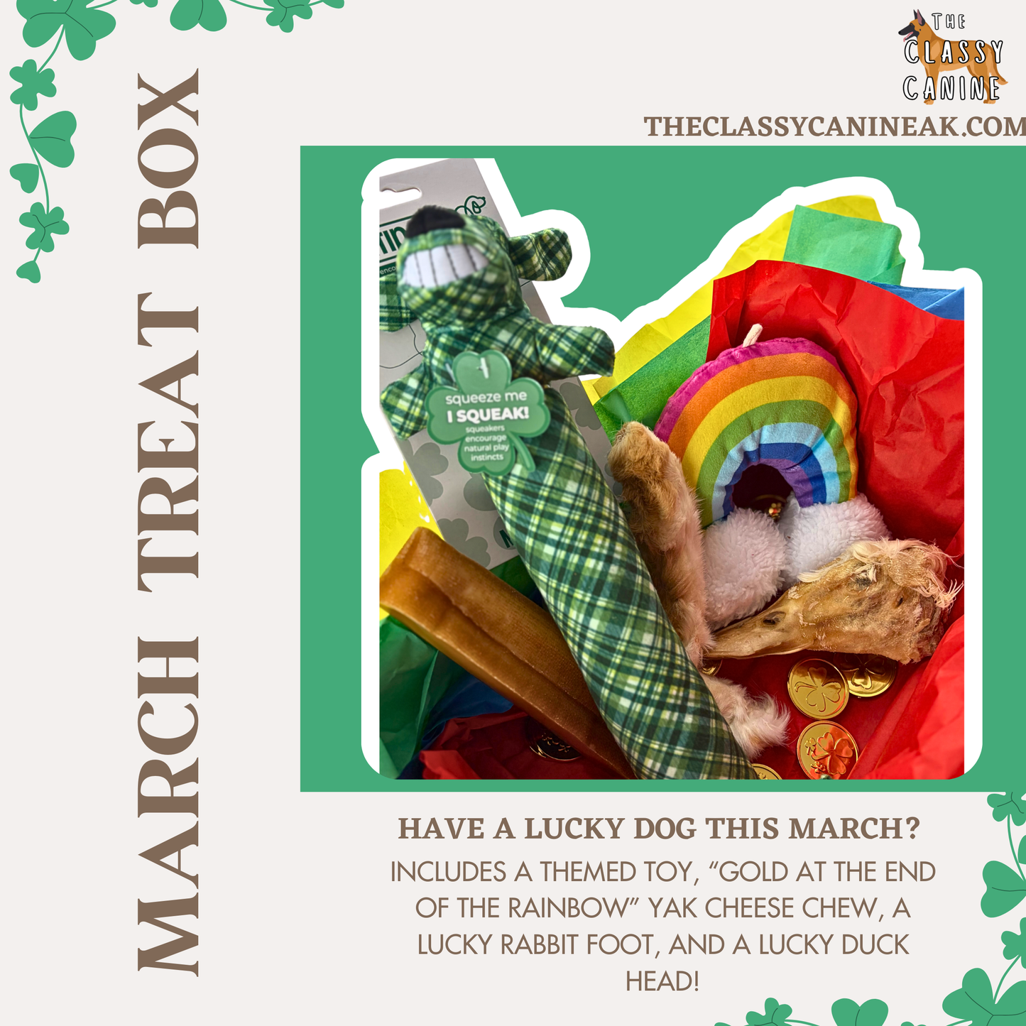 Monthly Treat Box