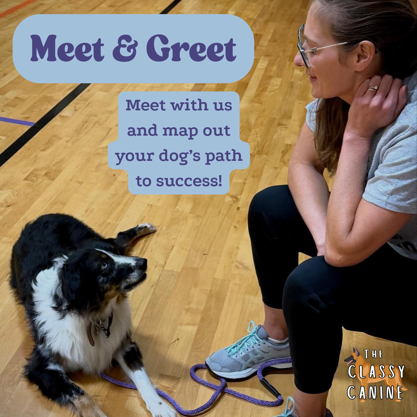 New student dog training evaluation in Johnson City, TN – personalized behavior assessment for dogs in Kingsport, Elizabethton, Bluff City, Blountville, Watauga, and the Tri-Cities area for a dog trainer meet and greet