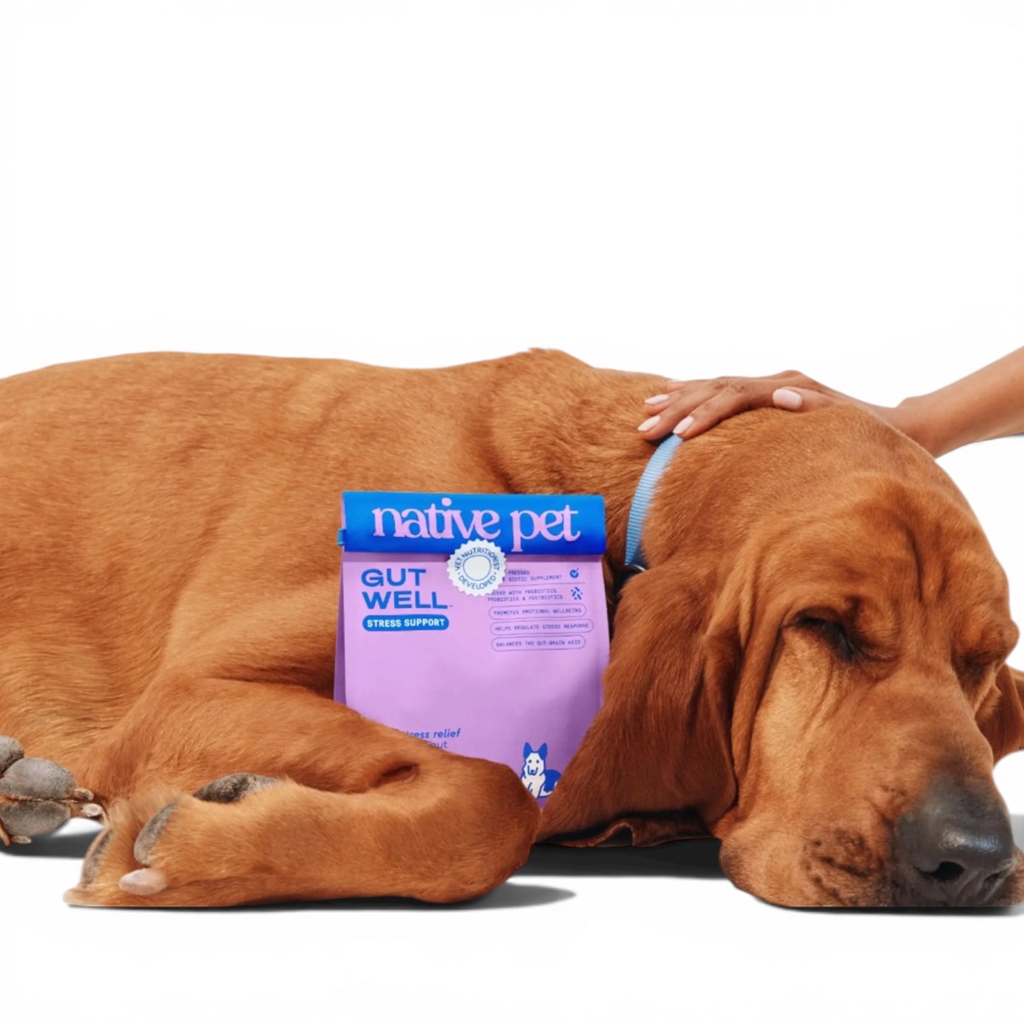Native Pet Gutwell Stress Support, Stress Relief and Calming