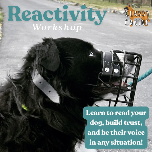 Reactivity Workshop
