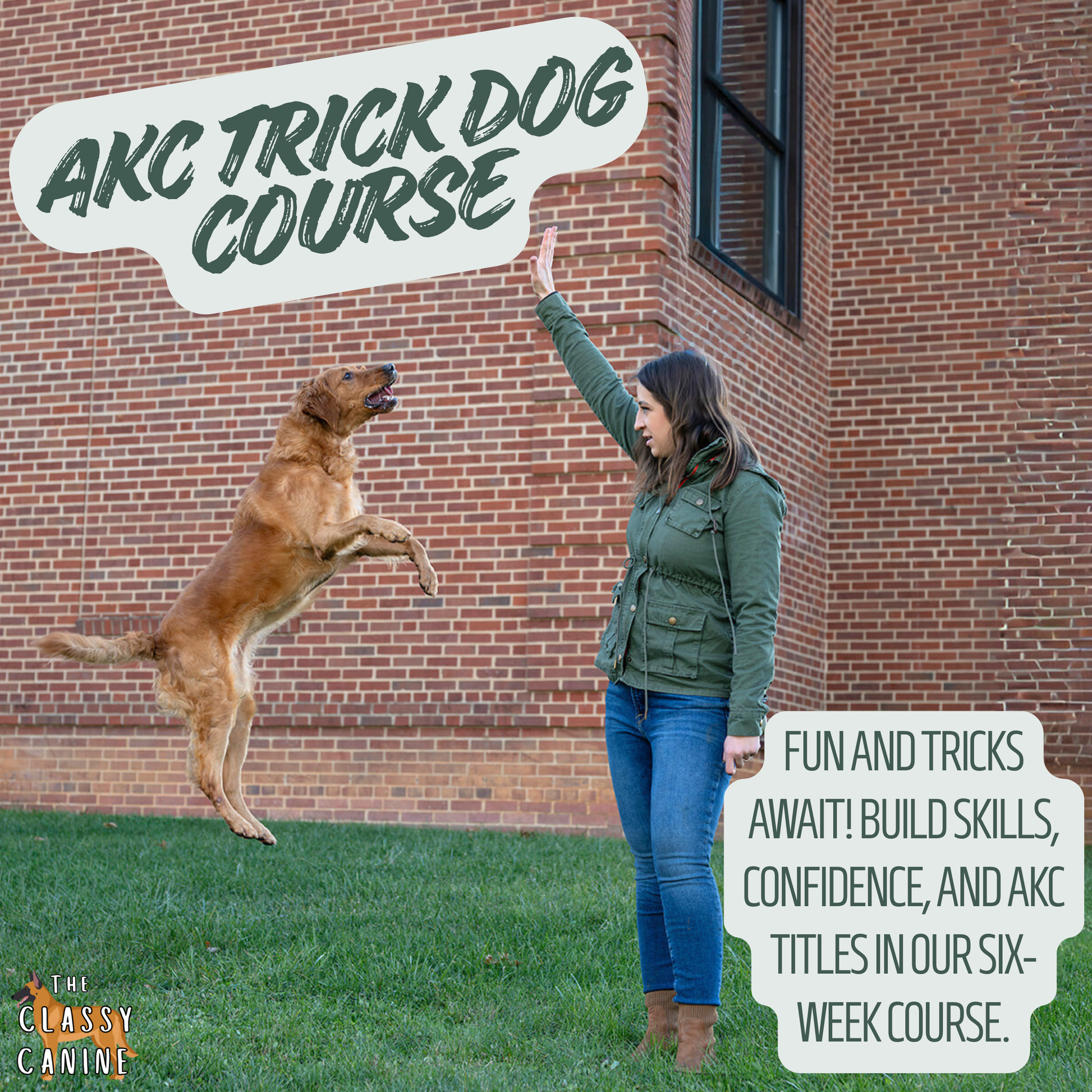 Dog and owner bonding while learning spins, paws, and fetch in AKC Trick Dog course.